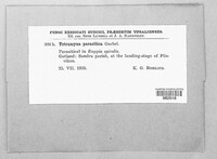 Image Associated With the Occurence